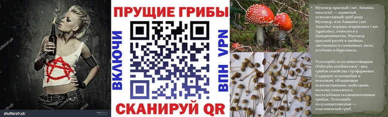 маркетплейс формула  хочу наркоту  Задонск  Галлюциногенные грибы мухоморы 